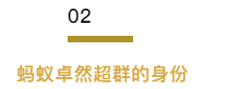 1603954106105604.png 55.png