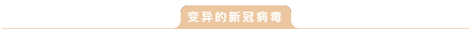 1608799216856136.png 22.png