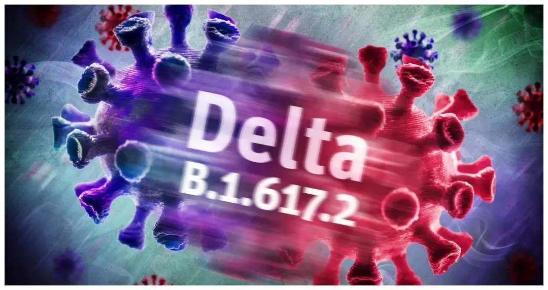 1629444251504154.jpg 1629444251504154.jpg