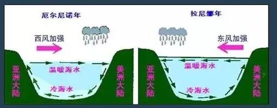 1636099377917944.jpg 3.jpg