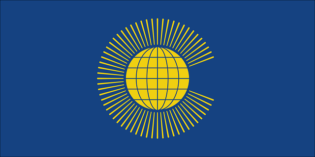 1663149504715124.png 36.png