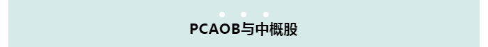 13.png